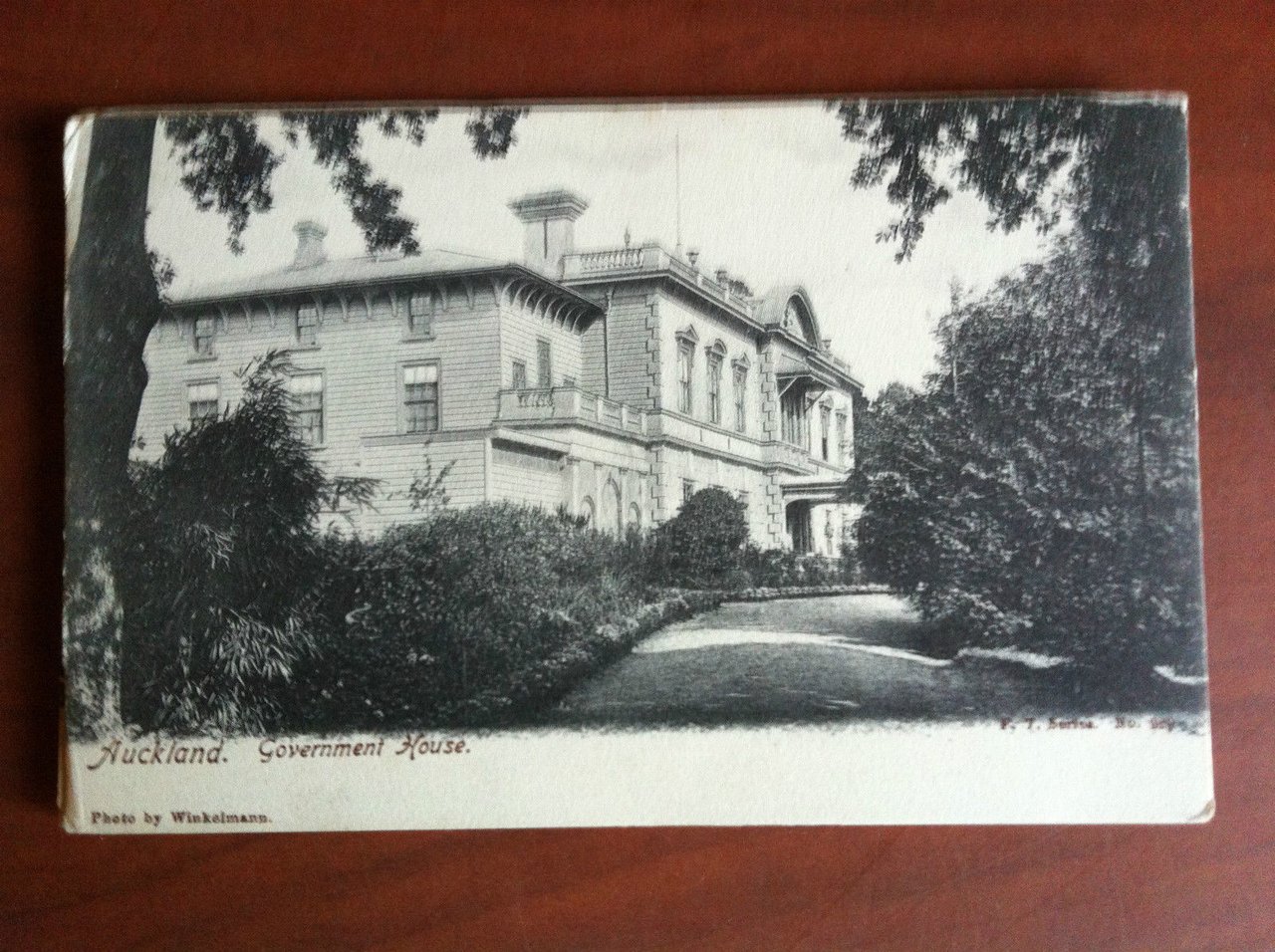 Cartolina Postcard inizi '900 New Zealand Auckland - non viaggiata …