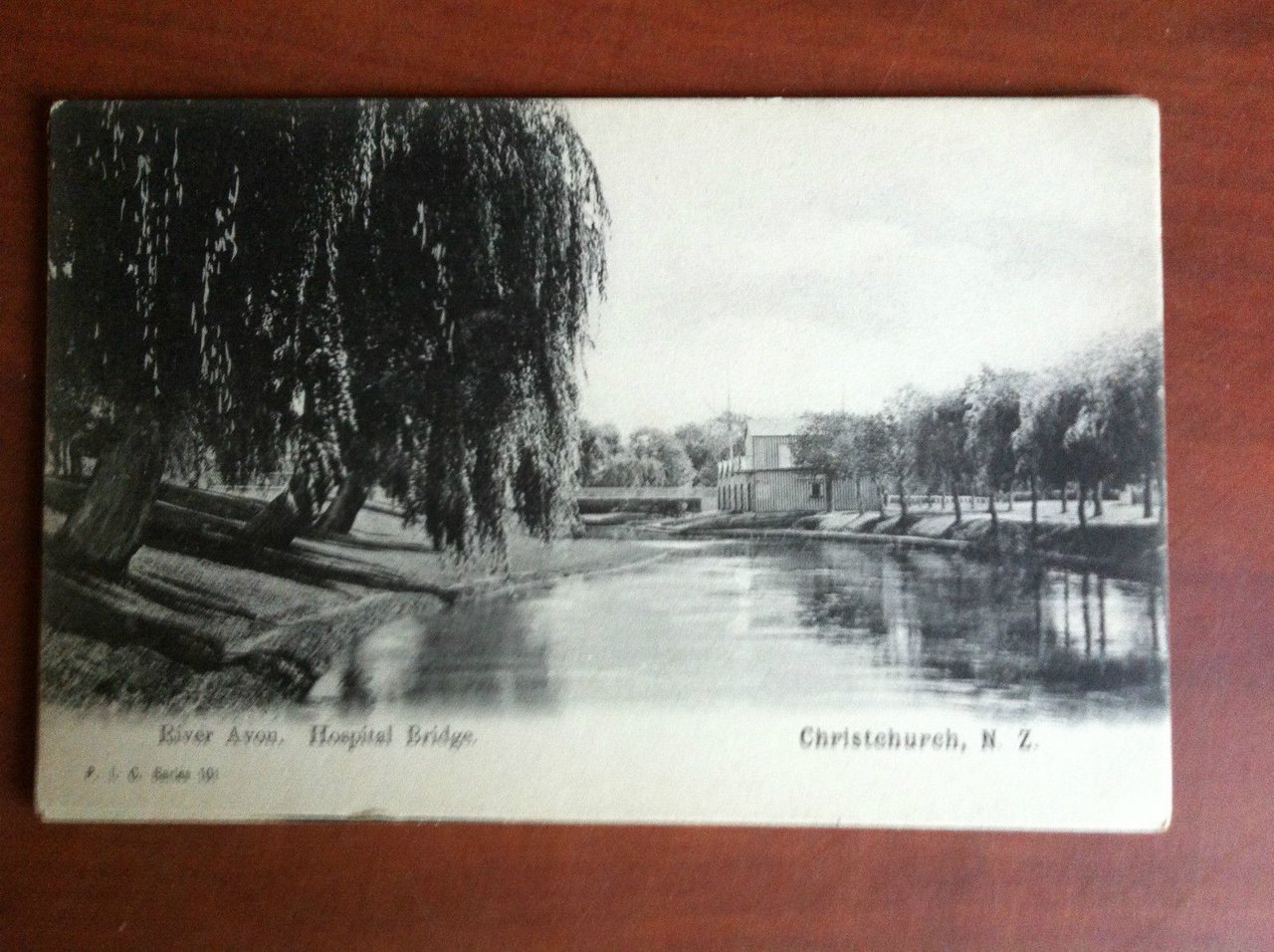 Cartolina Postcard inizi '900 New Zealand Christchurch - non viaggiata …