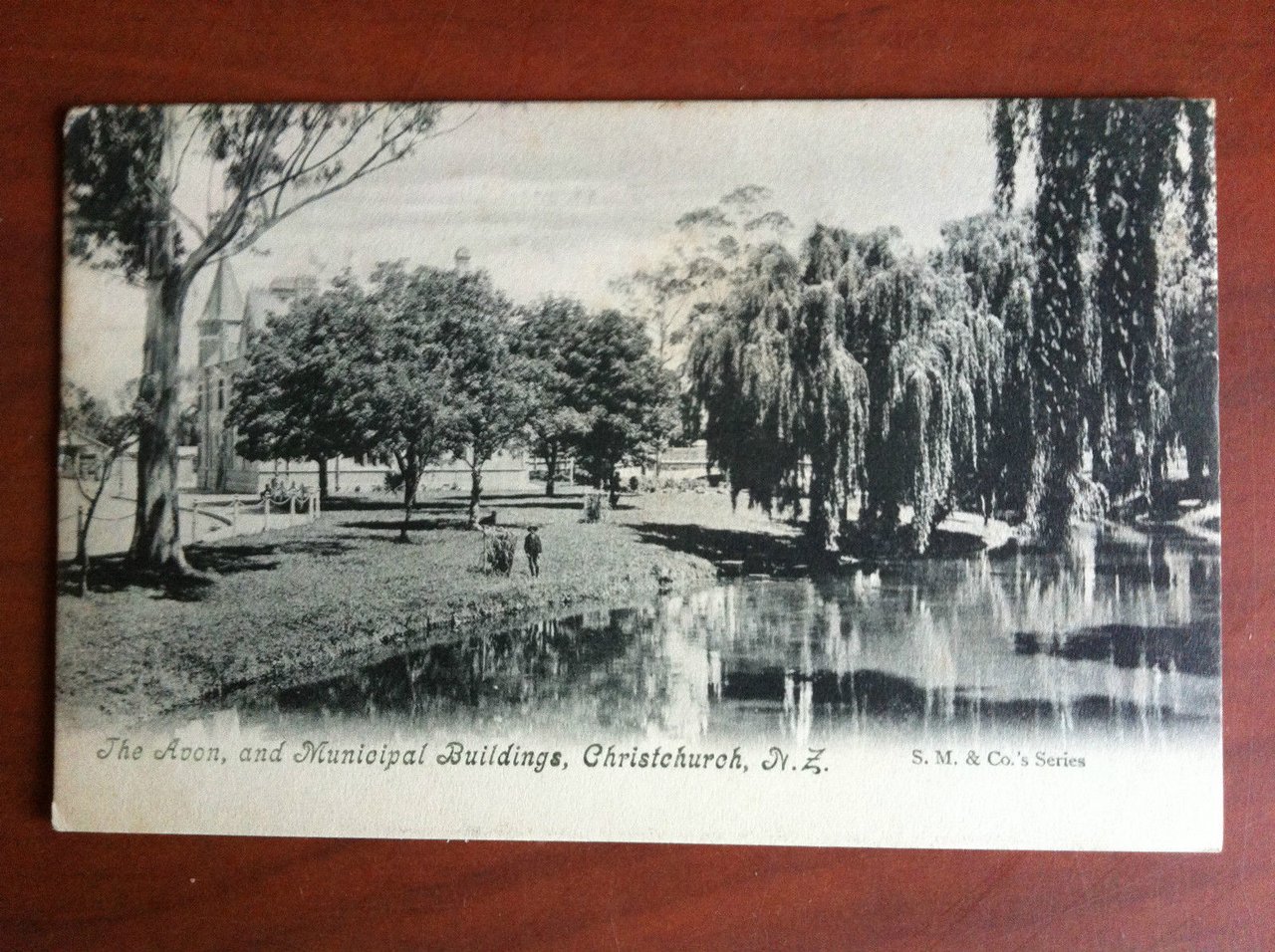 Cartolina Postcard inizi '900 New Zealand Christchurch - non viaggiata …