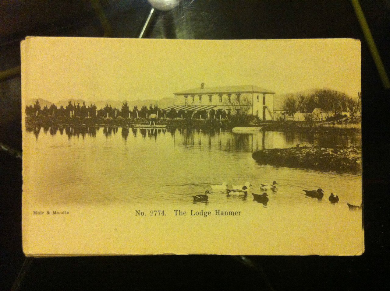 Cartolina Postcard inizi '900 New Zealand Hanmer - non viaggiata …