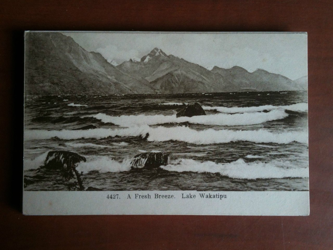 Cartolina Postcard inizi '900 New Zealand Lake Wakatipu- non viaggiata