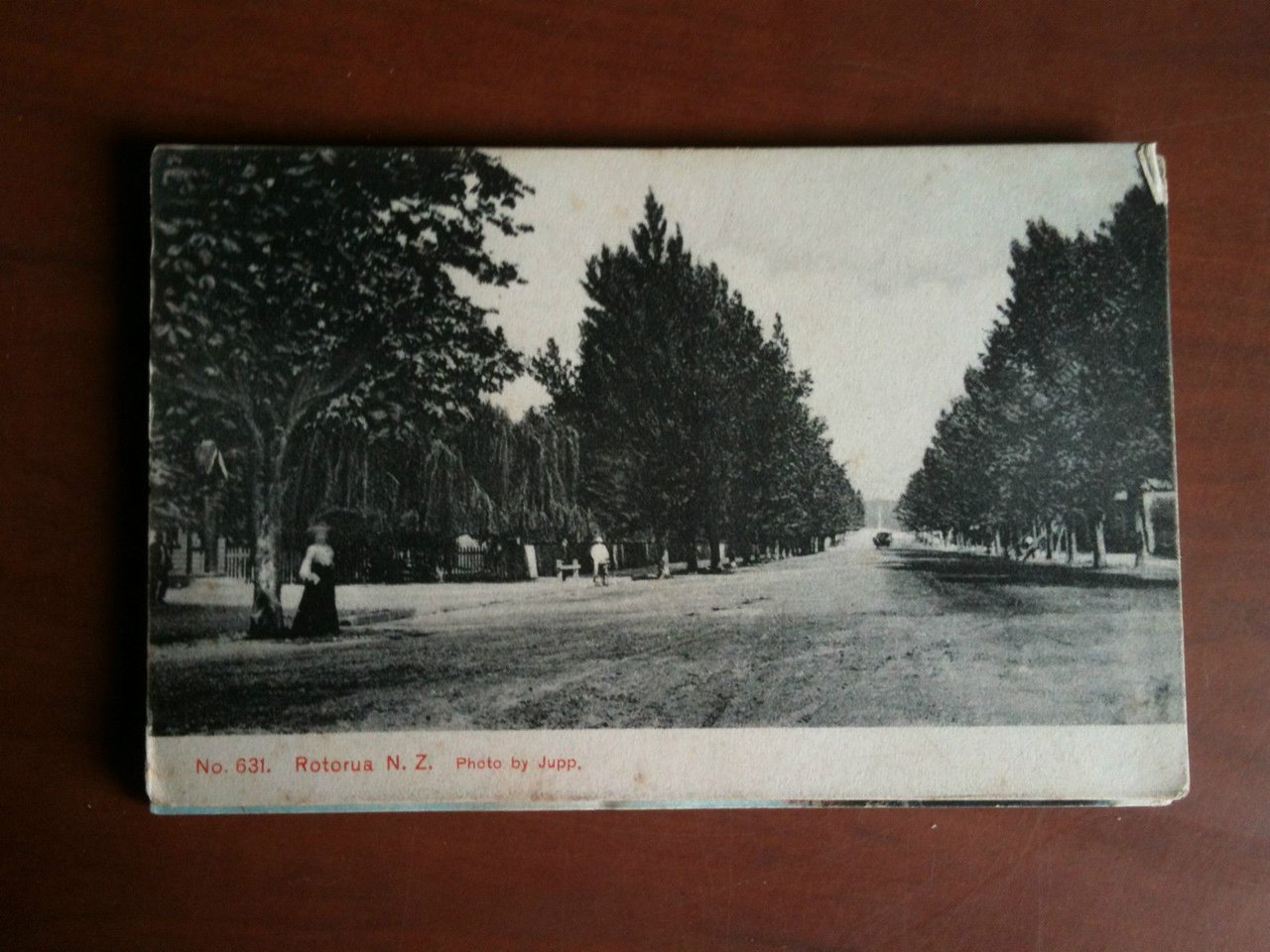 Cartolina Postcard inizi '900 New Zealand Rotorua - non viaggiata