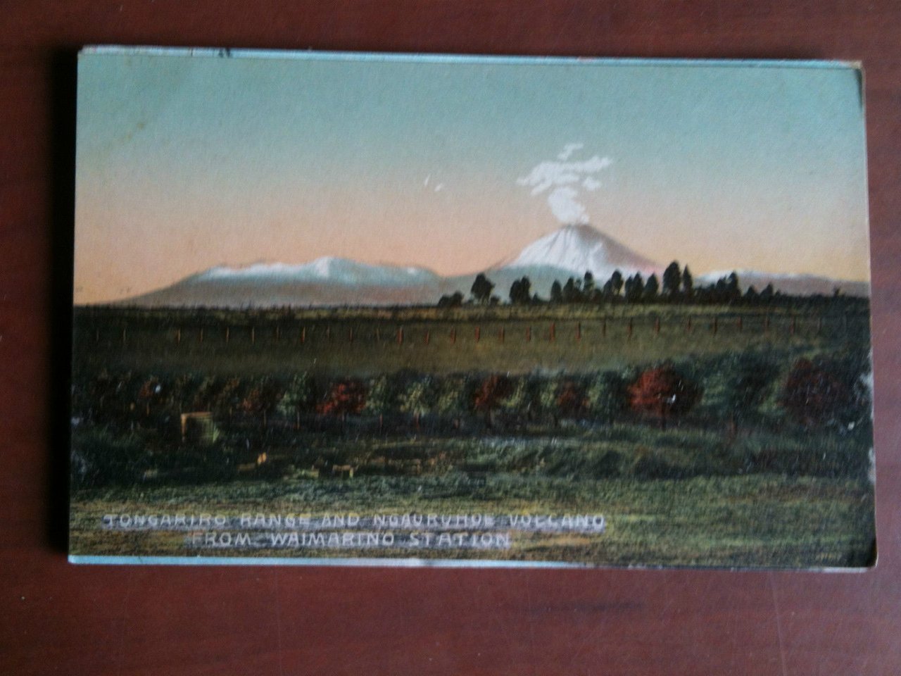 Cartolina Postcard inizi '900 New Zealand Tangariro Ngauruhoe - non …