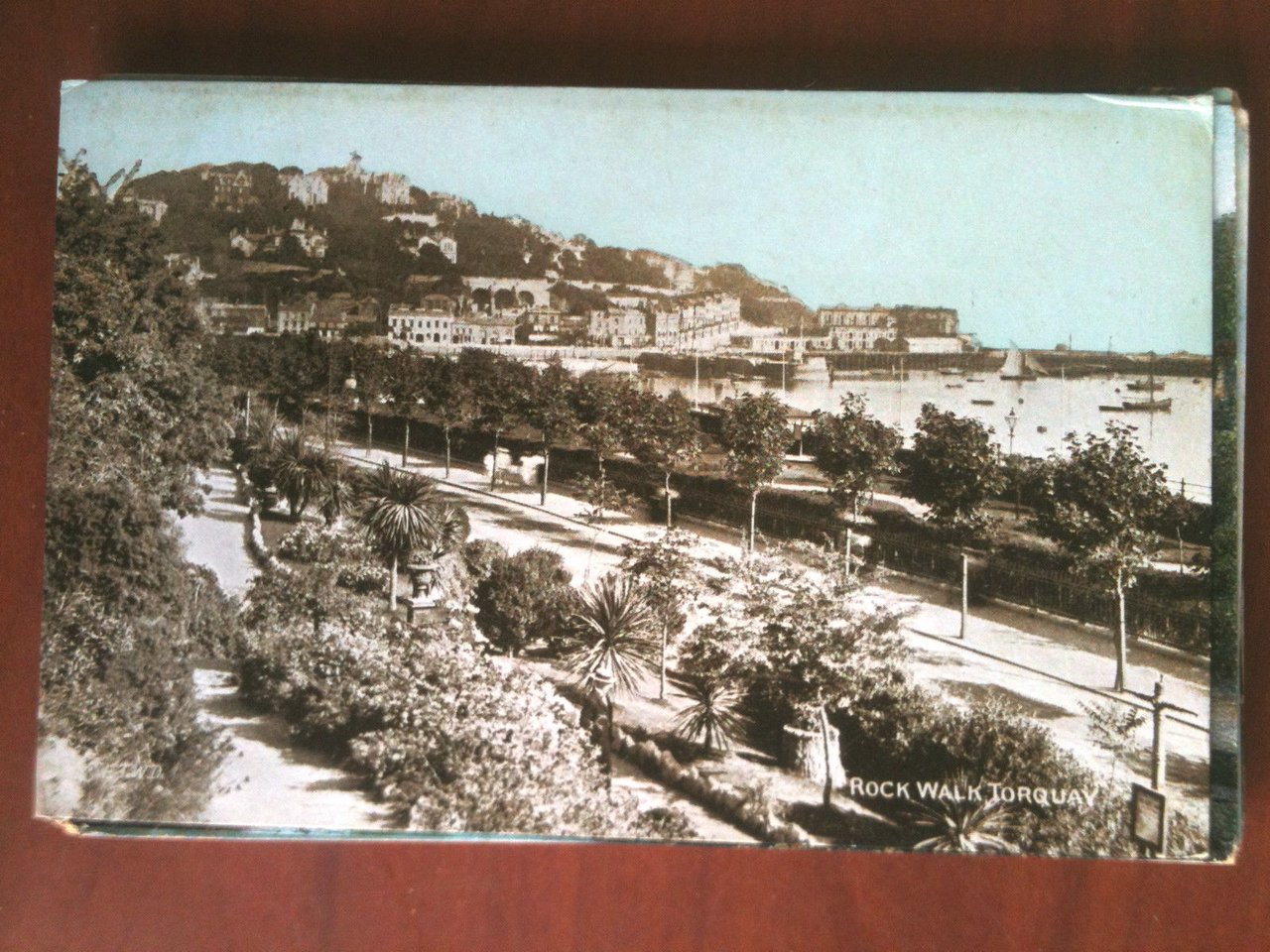 Cartolina Postcard inizi '900 UK Torquay - non viaggiata - …