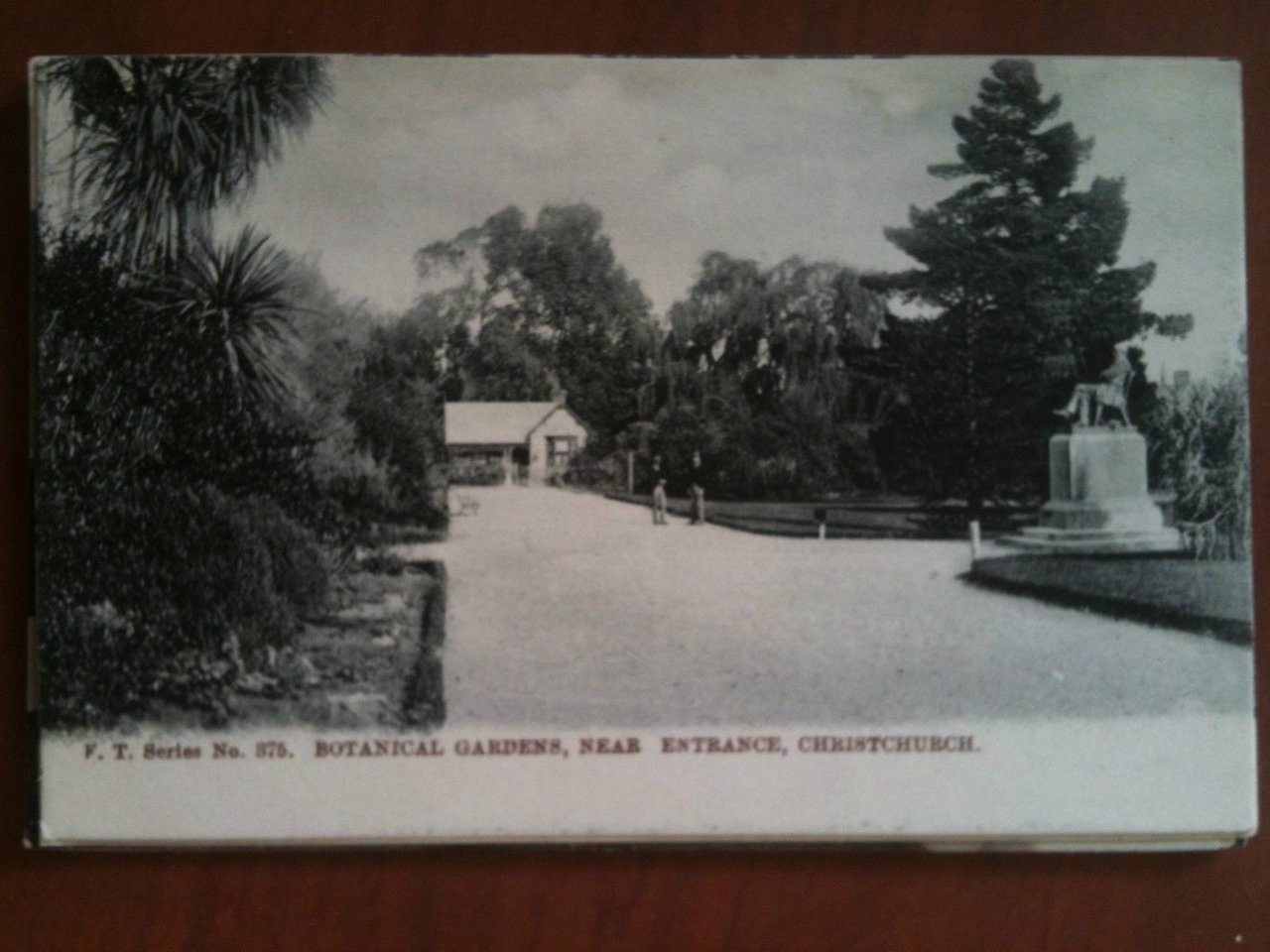 Cartolina Postcard inizi/early '900 New Zealand Gardens - non viaggiata …