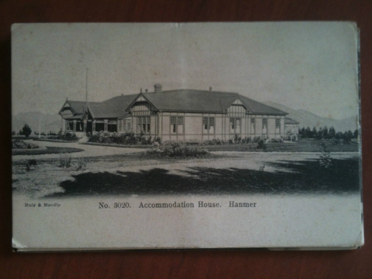 Cartolina Postcard inizi/early '900 New Zealand Hanmer - non viaggiata …