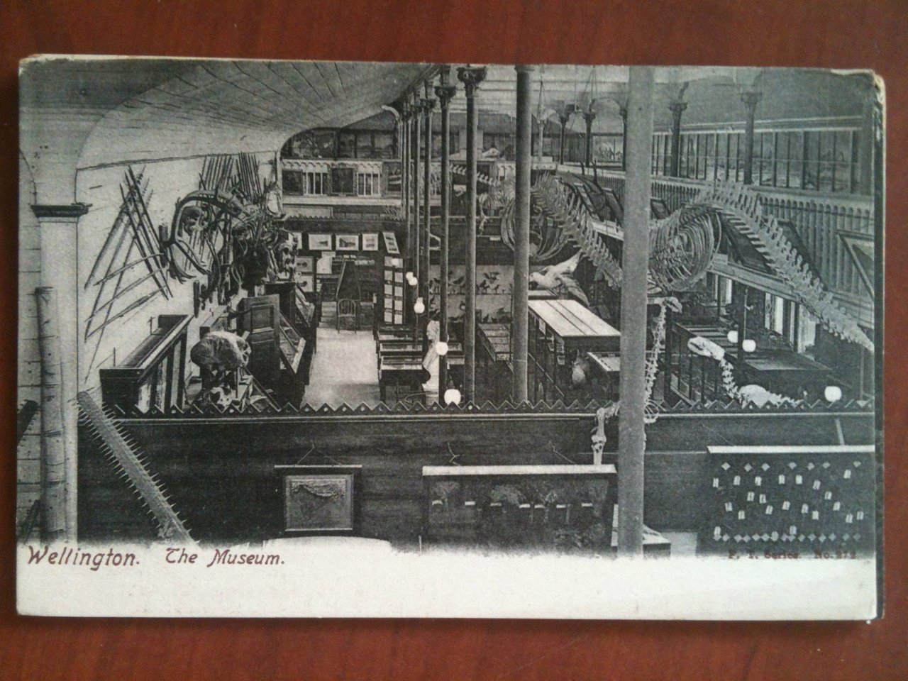 Cartolina Postcard inizi/early '900 New Zealand Wellington non viaggiata - …