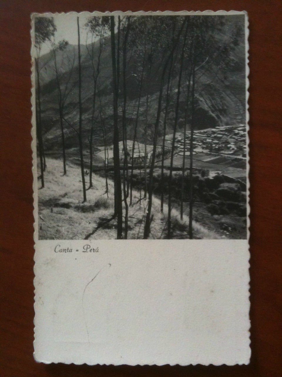 Cartolina/Tarjeta foto vera metà '900 Udo Schack Perù Canta non …