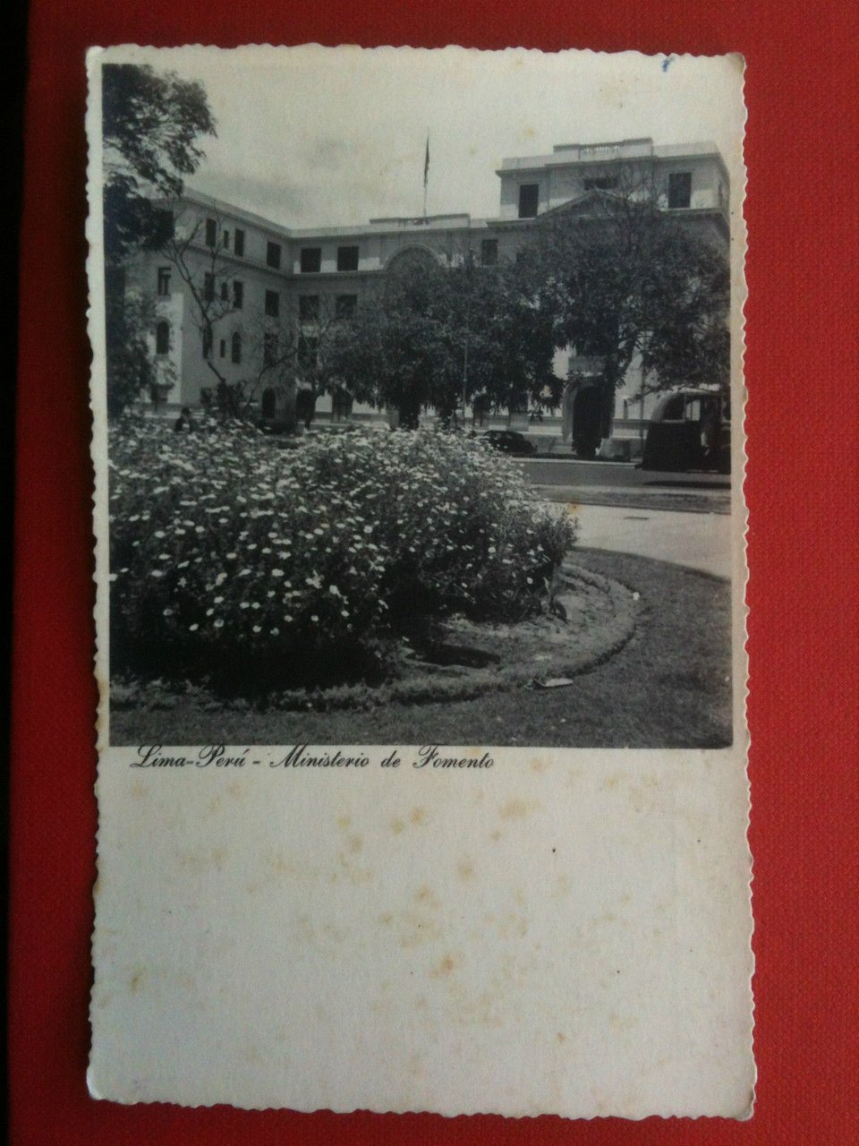 Cartolina Tarjeta fotografia vera metà '900 Udo Schack Perù Lima …