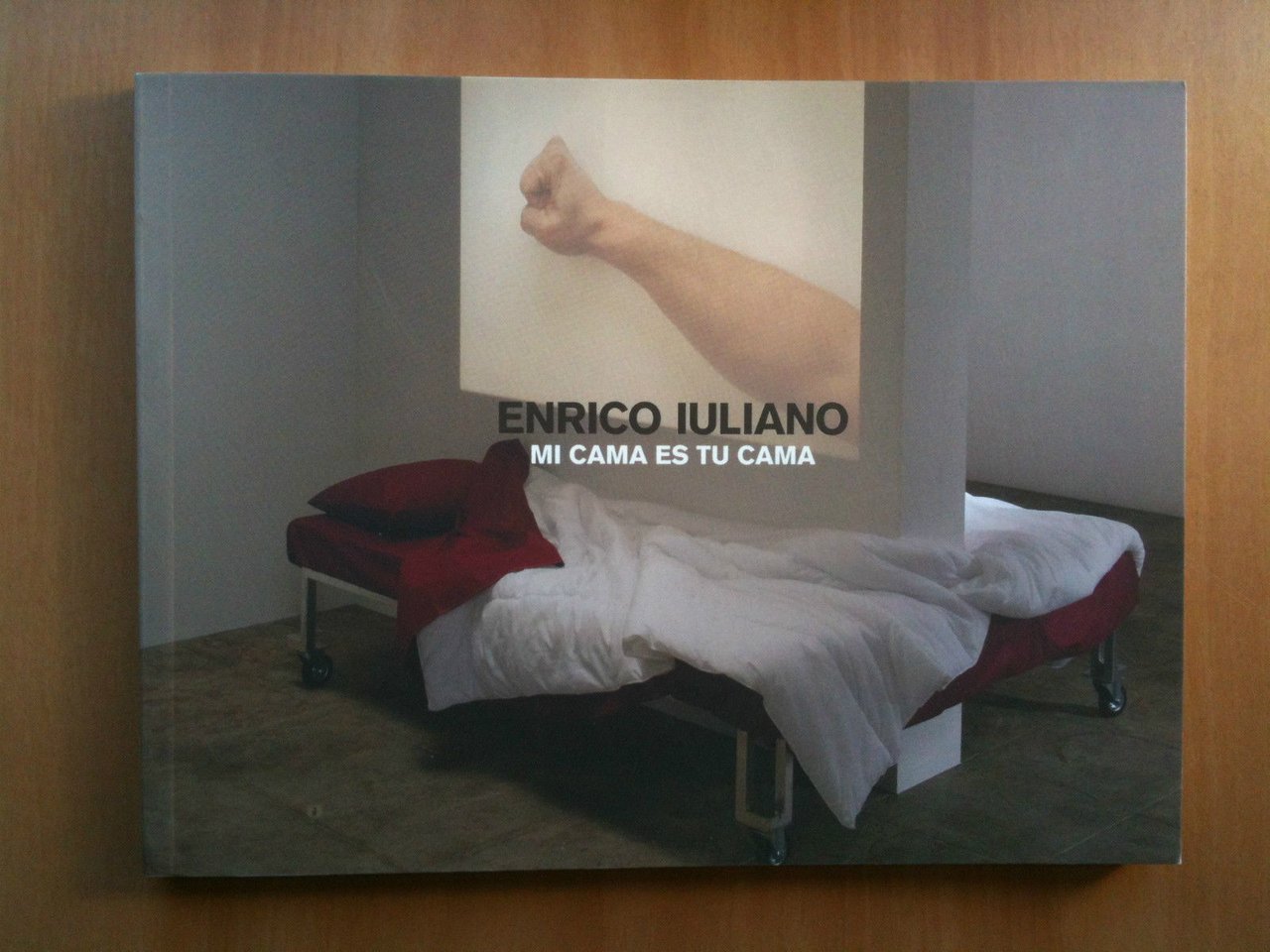 catálogo de la exposición por Enrico Iuliano Madrid 2004