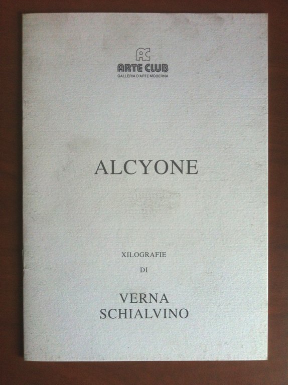 Catalogo della mostra Alcyone G. Verna e G. Schialvino Torino 1995 - E12861