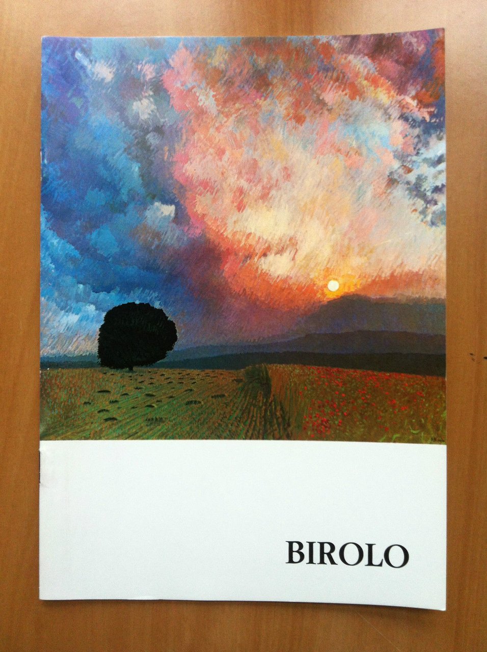 Catalogo della mostra di Alfonso Birolo Gall. Fogliato Torino 1982 …