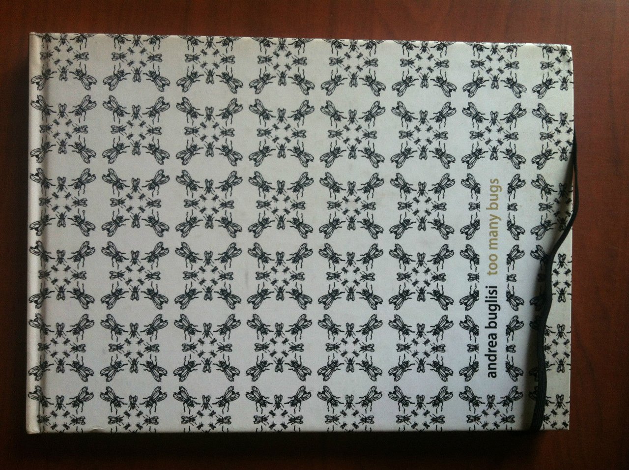 Catalogo della mostra di Andrea Buglisi Andre Arte Vicenza 2007 …