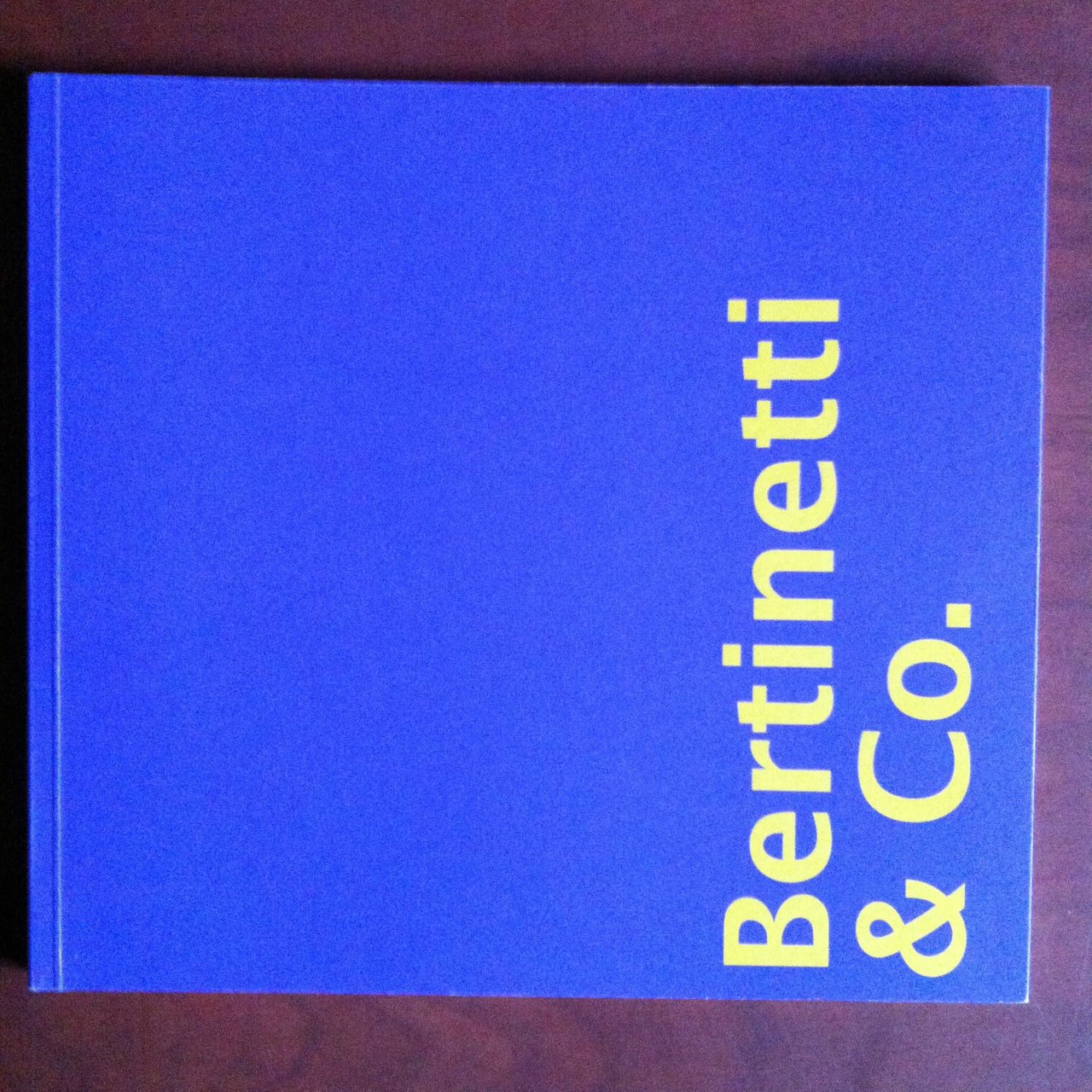 Catalogo della mostra di Bertinetti &amp; Co. Galleria Novalis Torino …