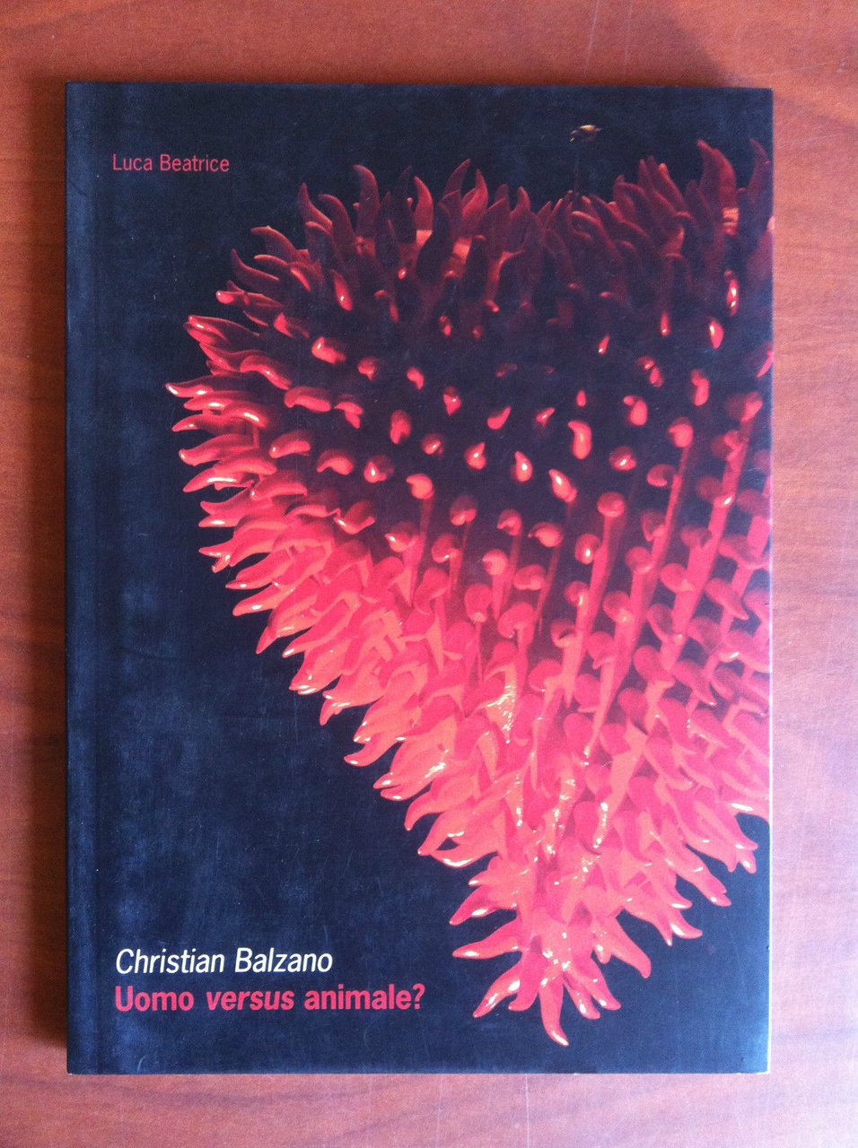 Catalogo della mostra di Christian Balzano L.u.C.C.A. Lucca 2009/10 - …