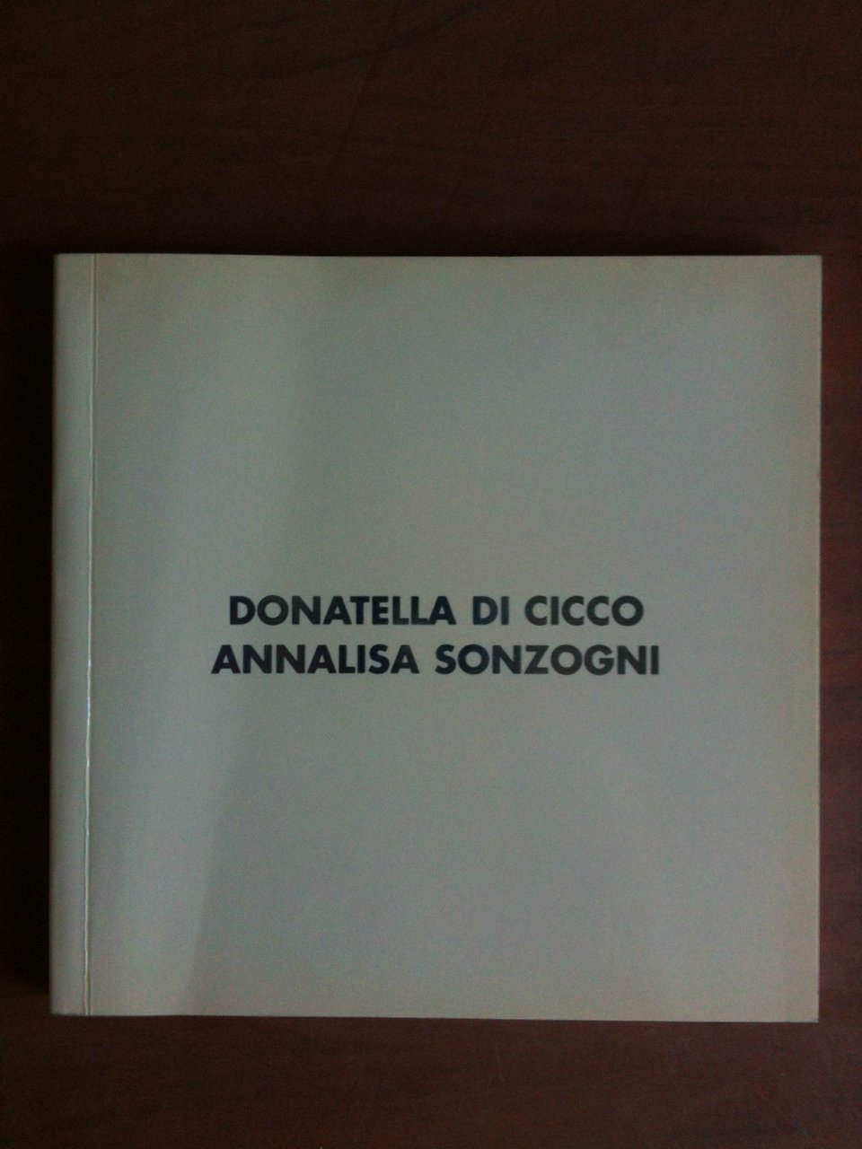 Catalogo della mostra di Di Cicco/Sonzogni Galleria Antonio Colombo Milano …