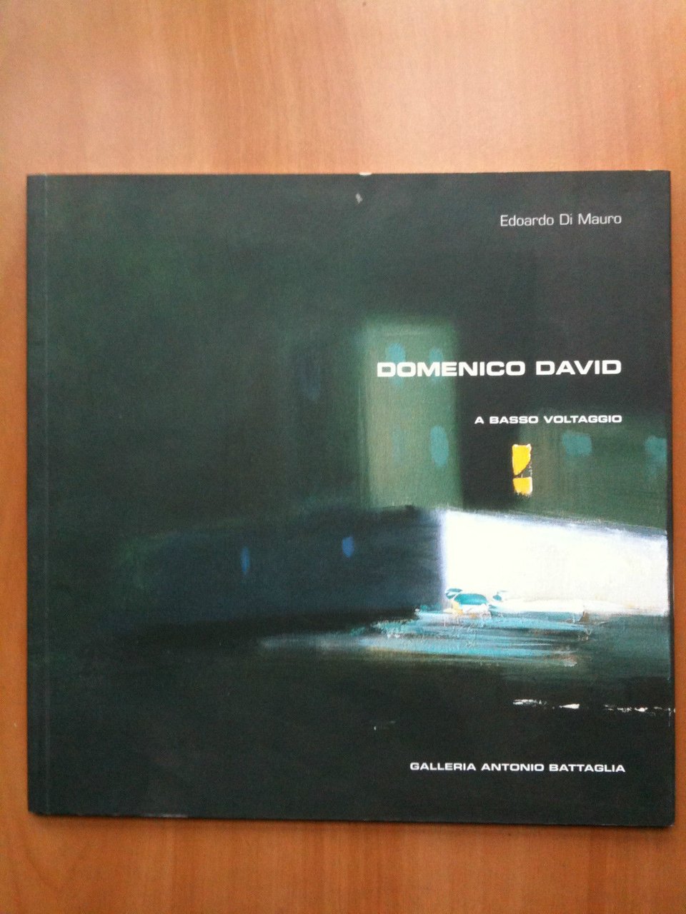 Catalogo della mostra di Domenico David "A basso voltaggio" Milano …