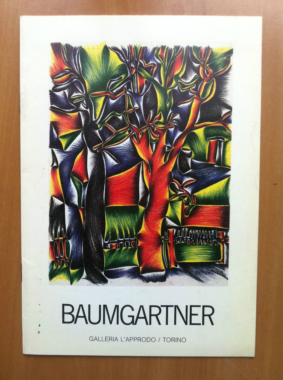 Catalogo della mostra di Fritz Baumgartner Gall. L'Approdo Torino 1988 …