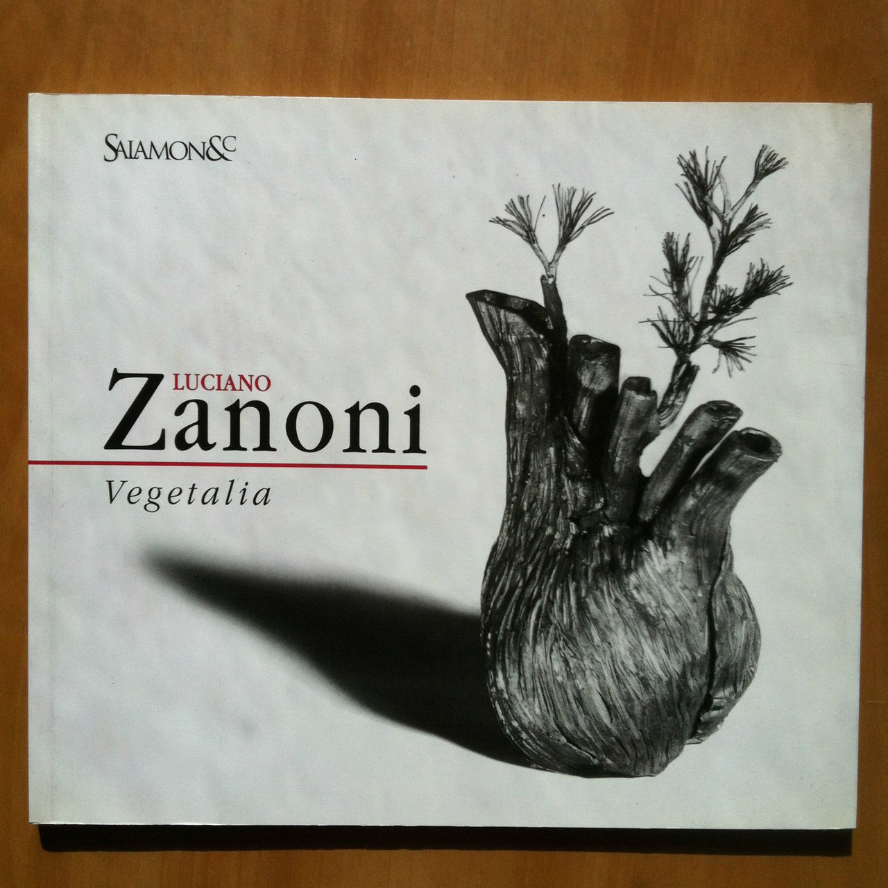 Catalogo della Mostra di Luciano Zanoni Gal Salamon Milano 2005 …