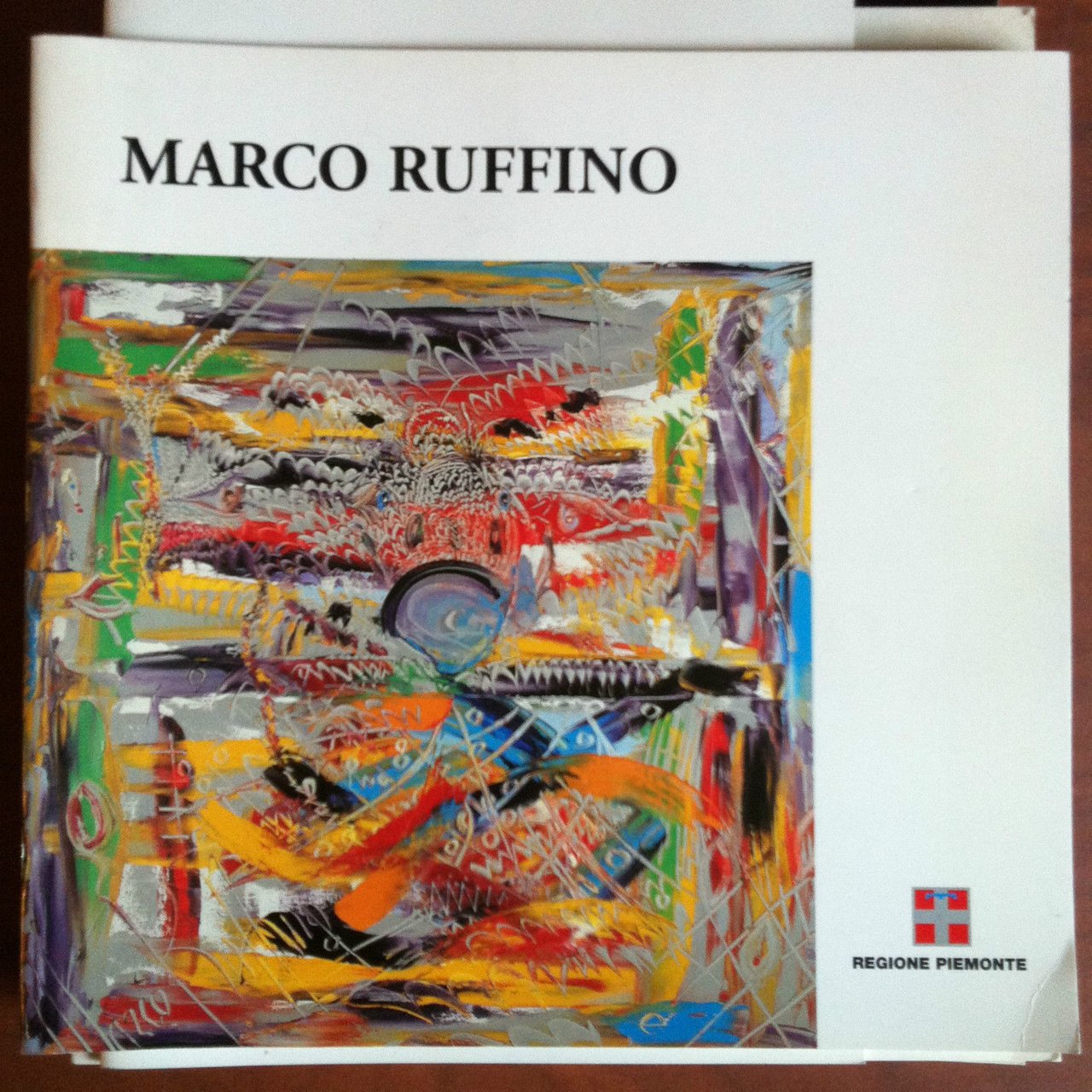 Catalogo della mostra di Marco Ruffino Regione Piemonte Torino 1998 …