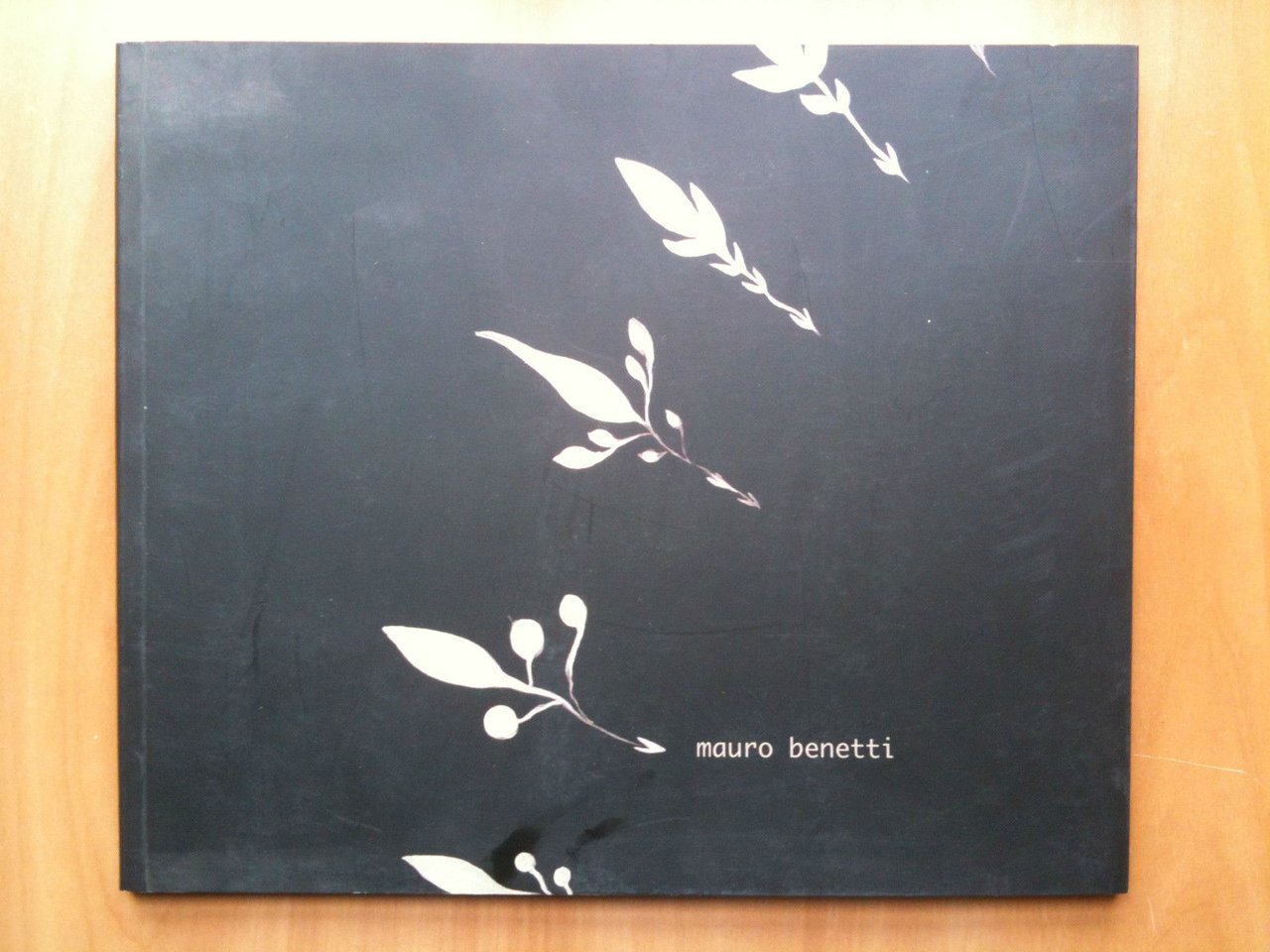 Catalogo della mostra di Mauro Benetti Galleria Claudio Bottello Torino …