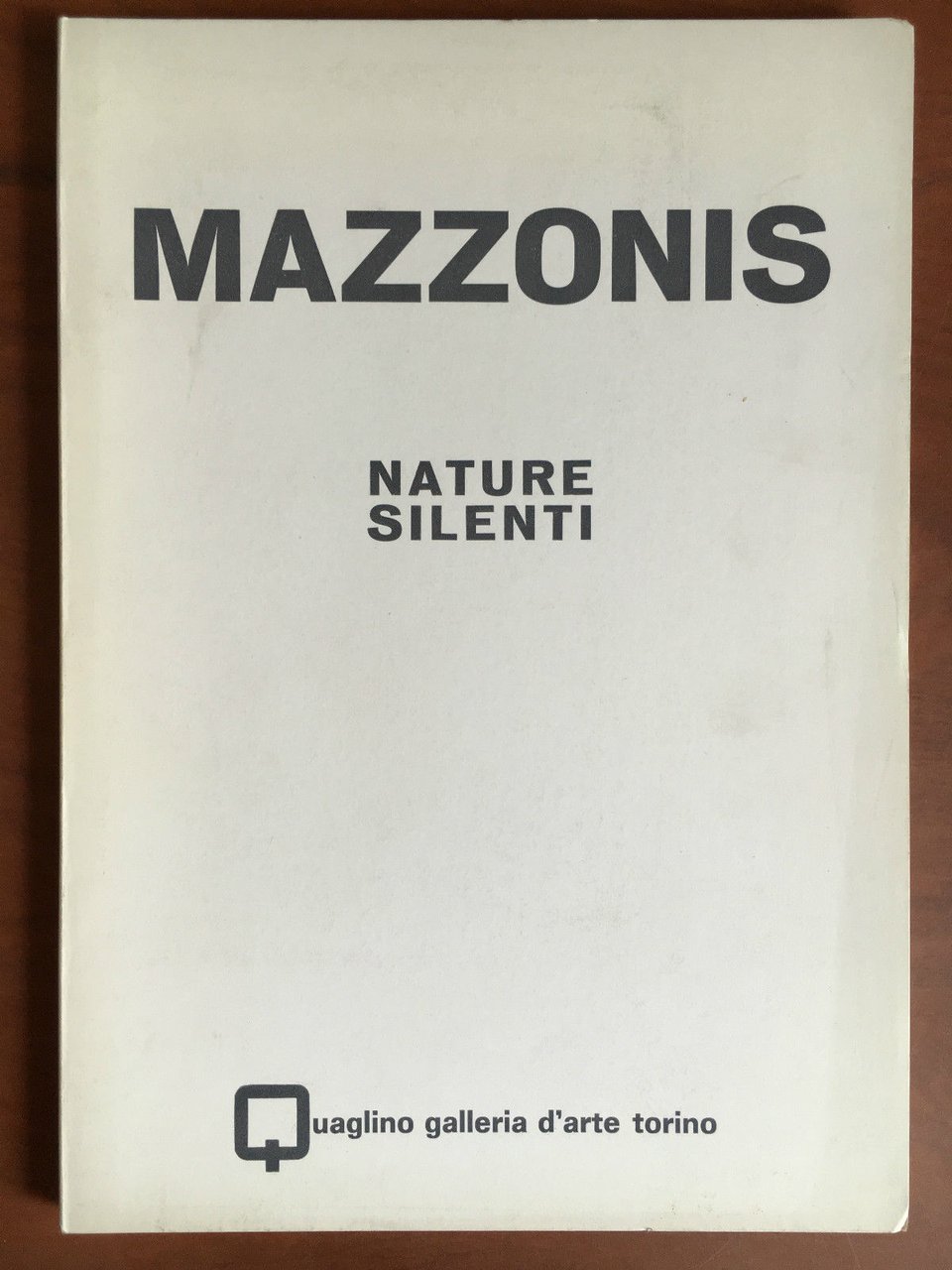 Catalogo della mostra di Mazzonis Nature silenti Gall. Quaglino Torino … | Immagine principale