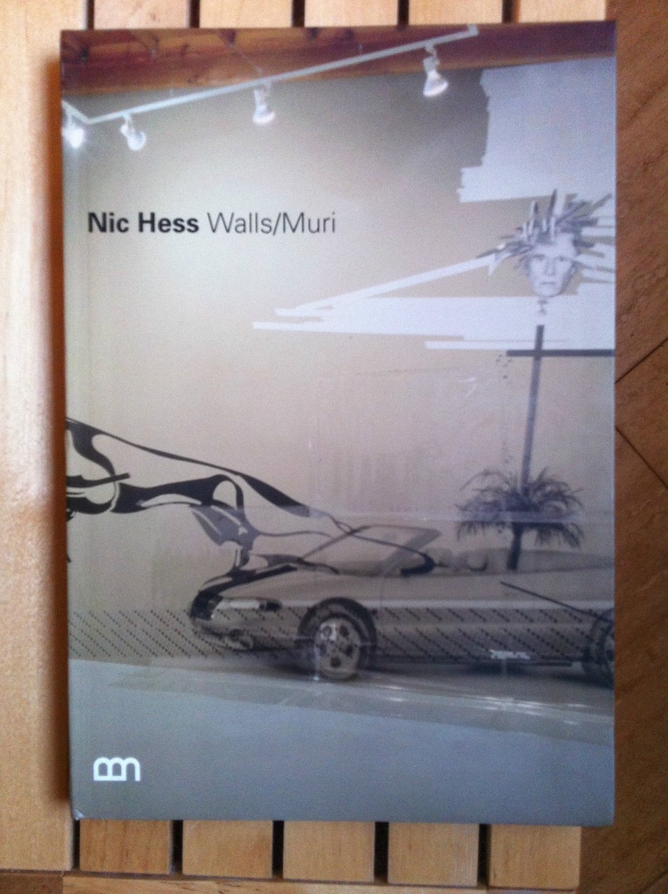 Catalogo della mostra di Nic Hess Walls/Muri Bevilacqua La Masa …