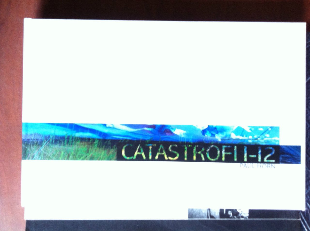 Catalogo della mostra di Paul Horn Studio Cannaviello Milano 2004 …