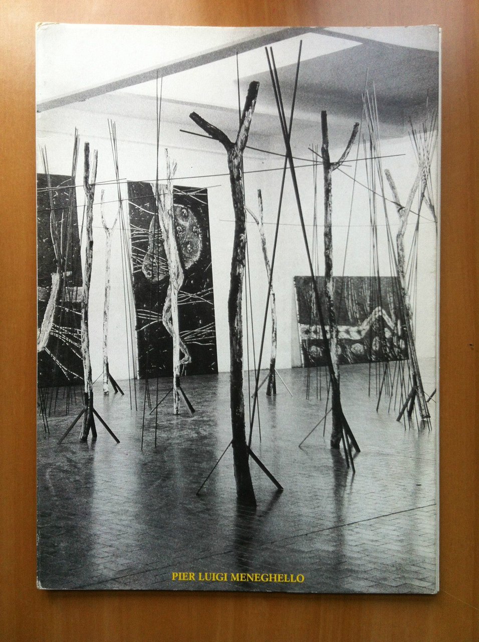 Catalogo della mostra di Pier Luigi Meneghello Gal Paludetto Torino …