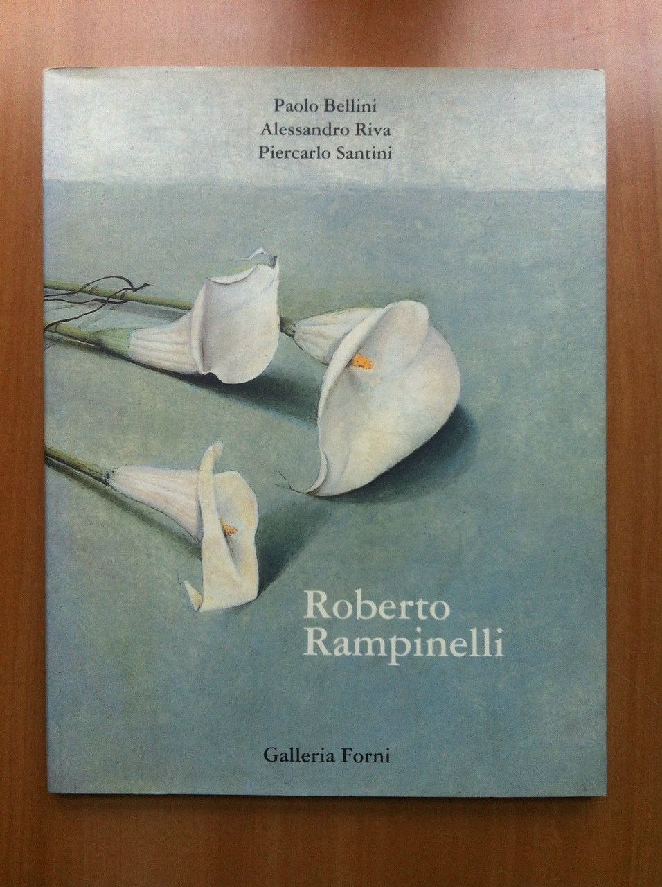 Catalogo della mostra di Roberto Rampinelli Galleria Forni Bologna 1998 …