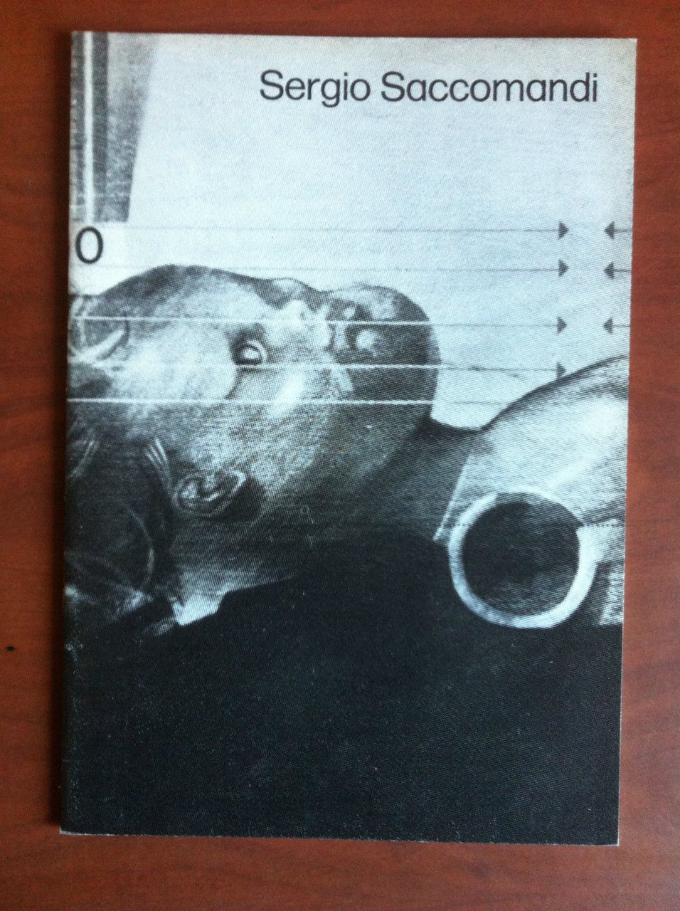 Catalogo della mostra di Sergio Saccomandi Galleria Davico Torino 1973 …