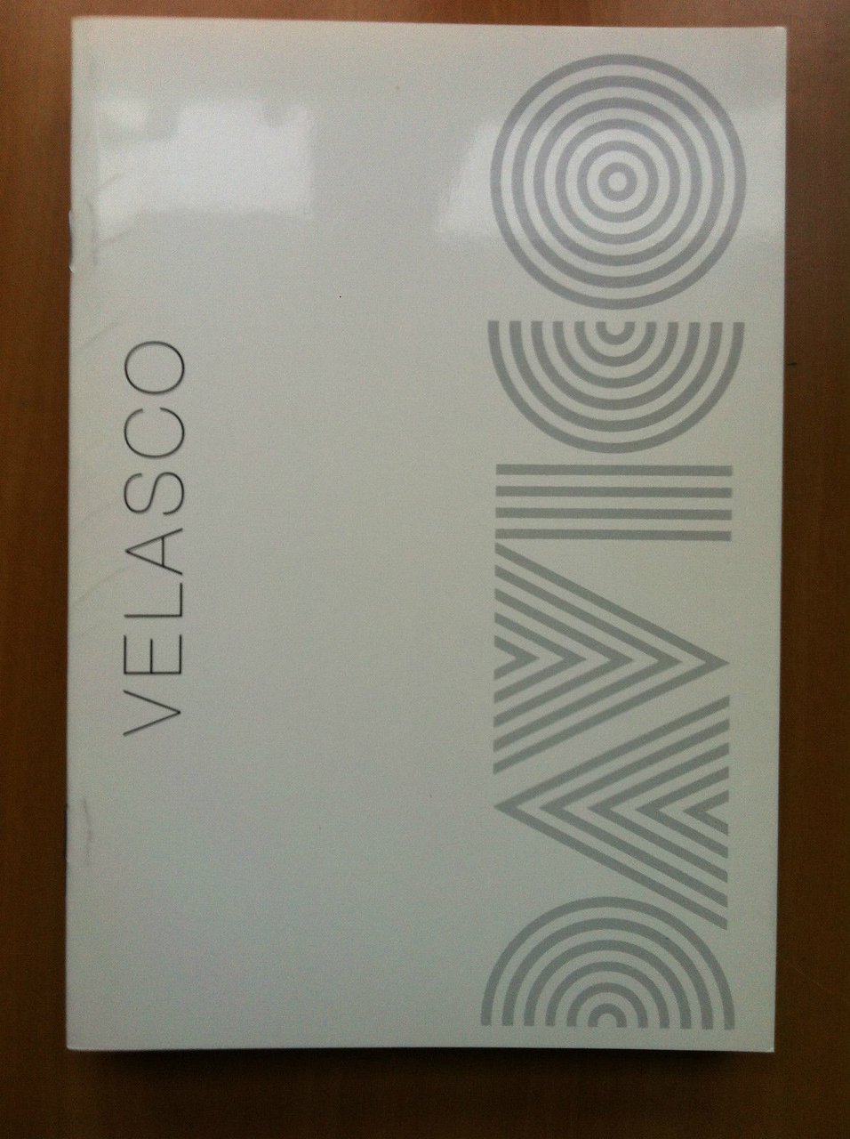 Catalogo della mostra di Velasco Galleria Davico Torino 1991 - …