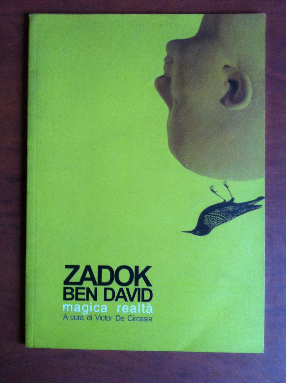 Catalogo della mostra di Zadok Ben David Gal Place Cavagnolo …