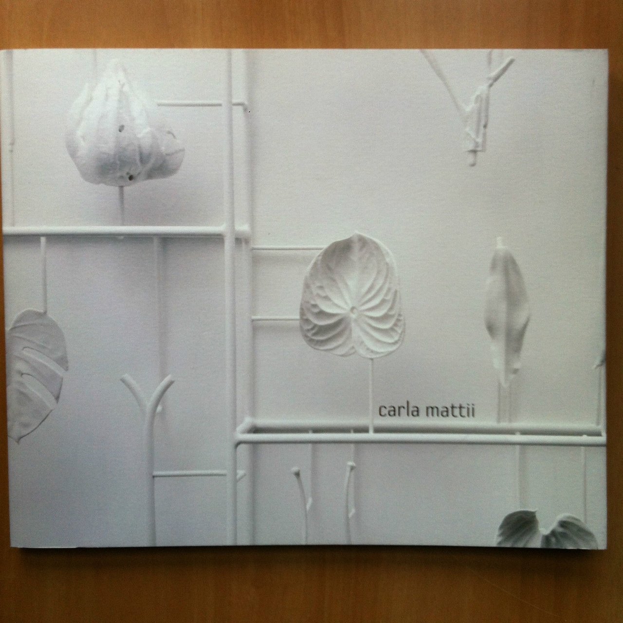 Catalogo delle opere di Carla Mattii Ed Grafiche Veneziane 2006 …