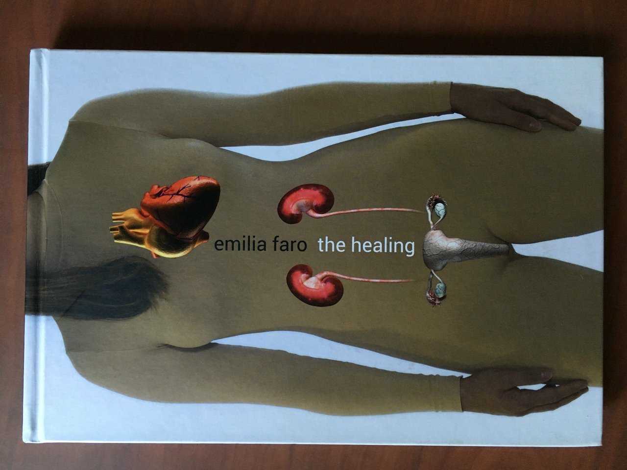 Catalogo delle opere di Emilia Faro The healing a+mbookstore Ed. …
