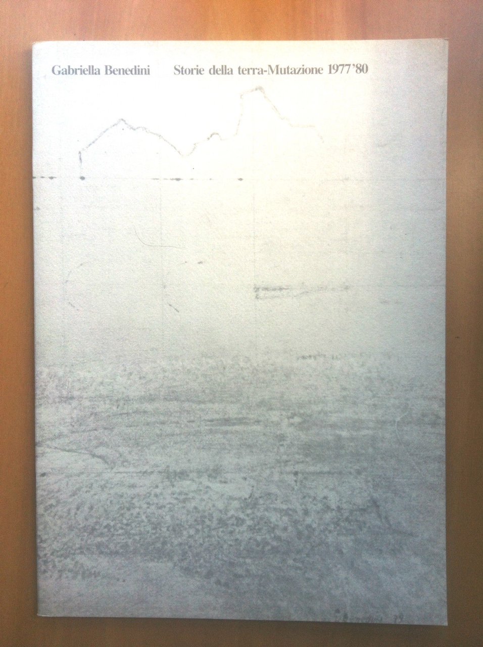 Catalogo delle opere di Gabriella Benedini Storie della terra-Mutazione - …