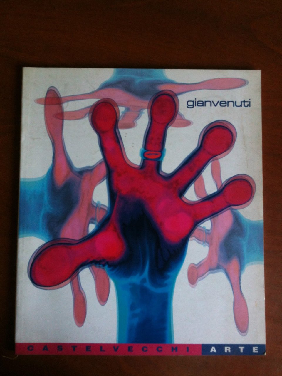 Catalogo delle opere di Gianvenuti Overground arts 2000
