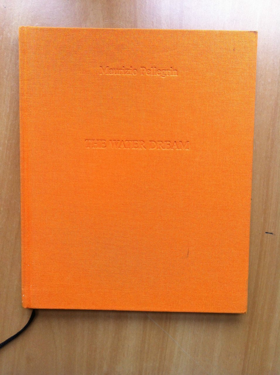 Catalogo delle opere Maurizio Pellegrin The water dream - E18804