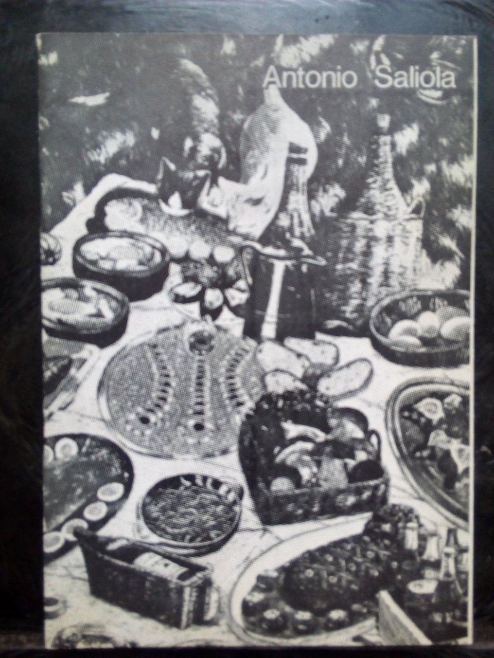 Catalogo mostra Antonio Saliola - Galleria DavicoTorino 1976