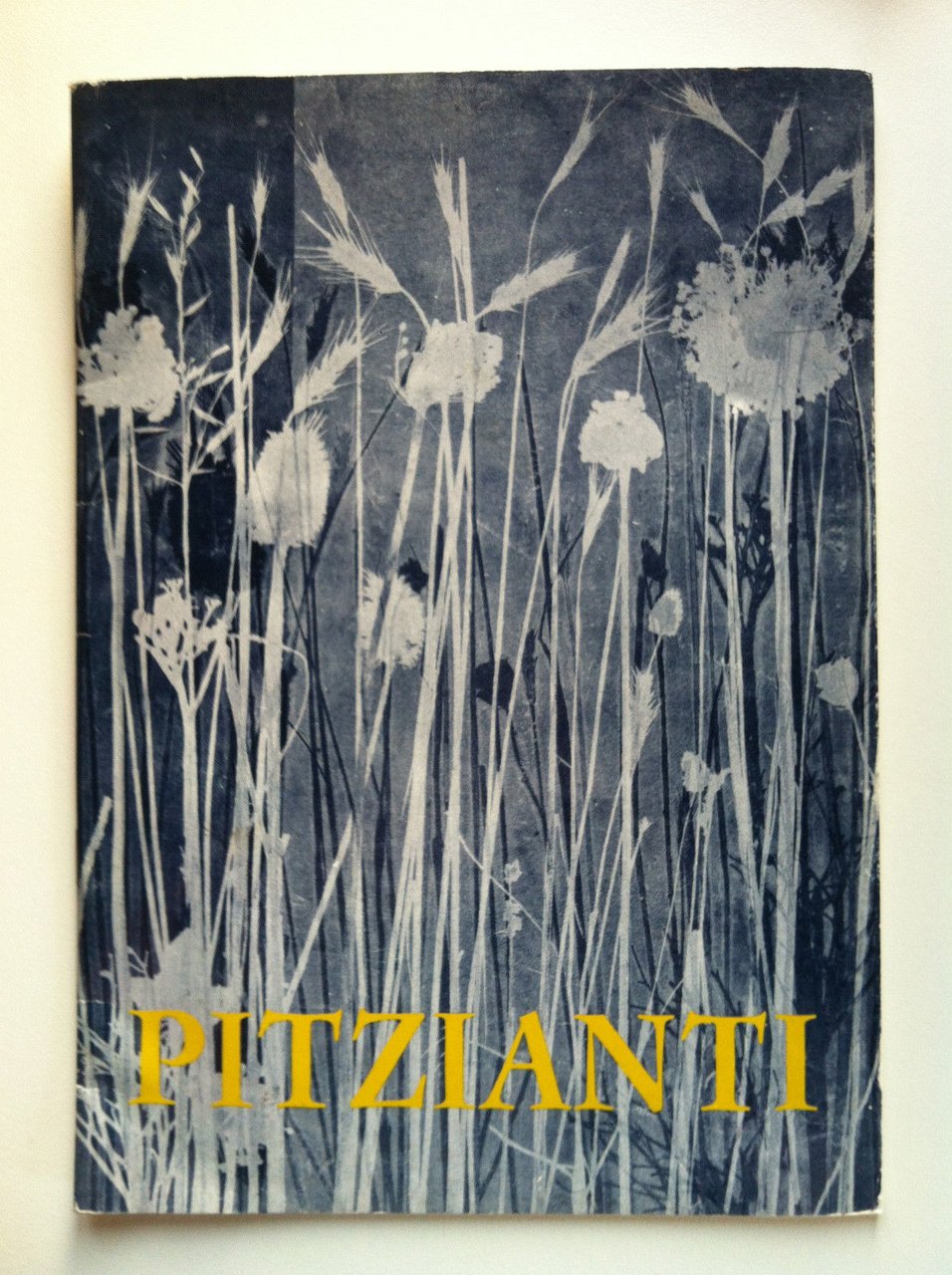 Catalogo mostra di Paola Pitzianti Galleria L'Arte Antica Torino 1975 …