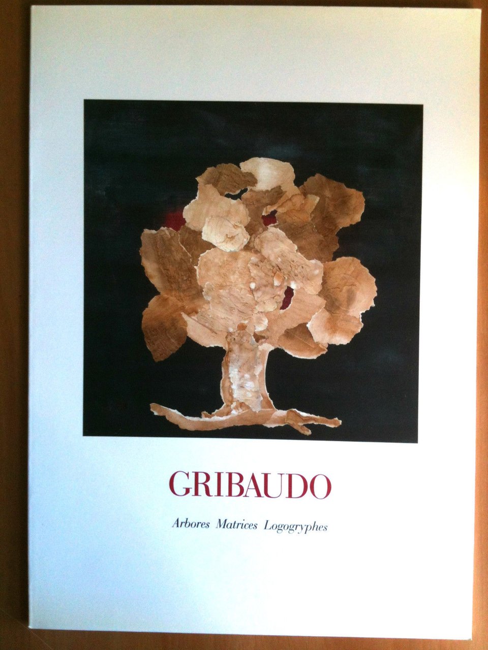 Catalogue de l'exposition par Ezio Girbaudo Galerie carpentier Paris 1993