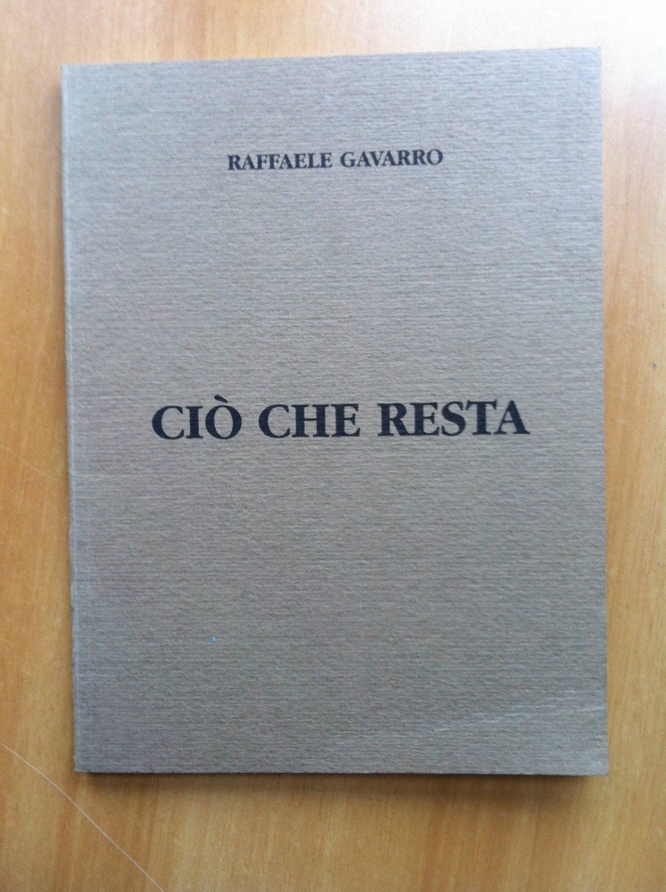 Ciò che resta Appunti sullo stato della pittura Raffaele Gavarro …