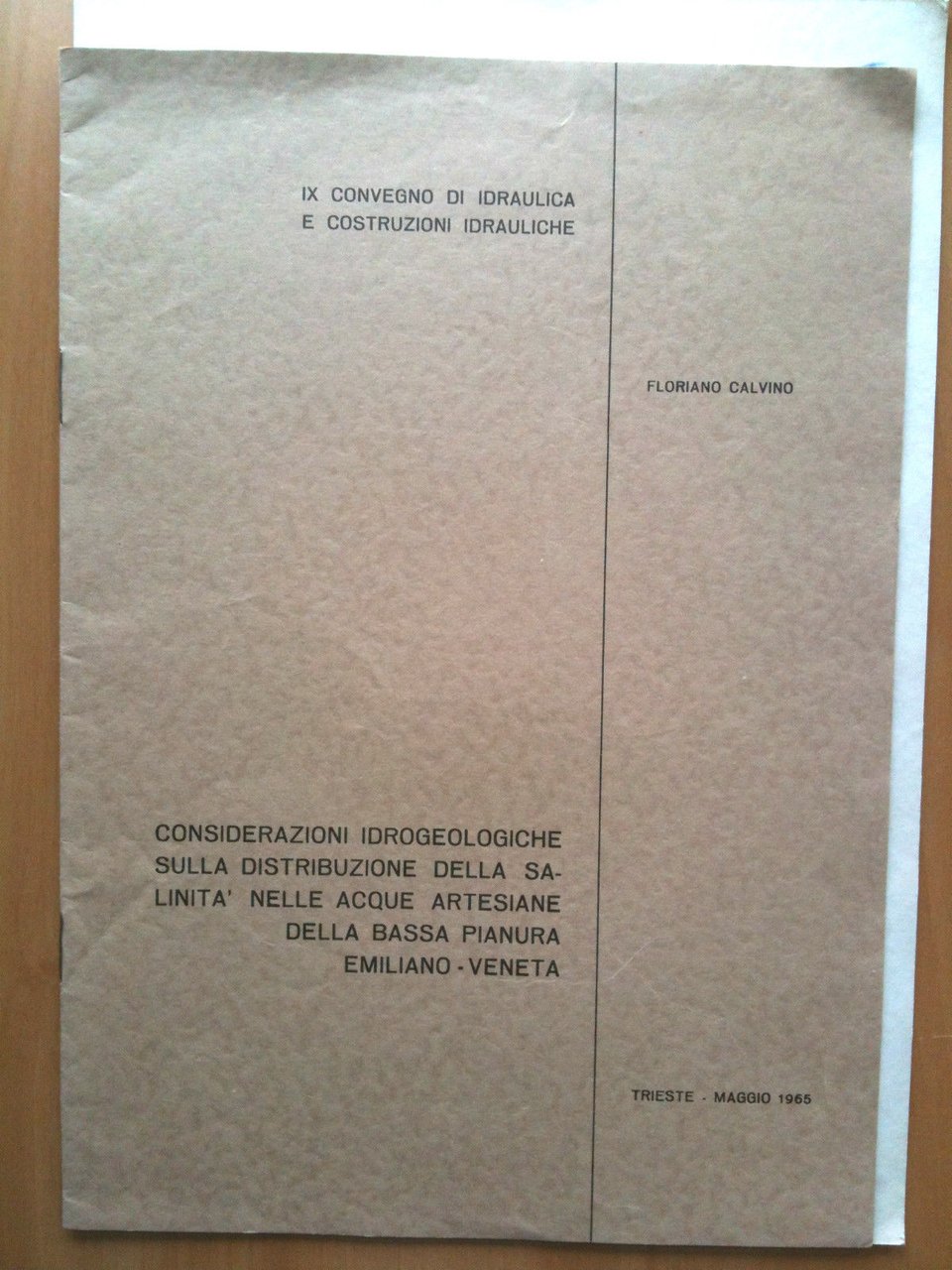 Considerazioni distribuzione salinità acque artesiane bassa pianura Emiliano Ve