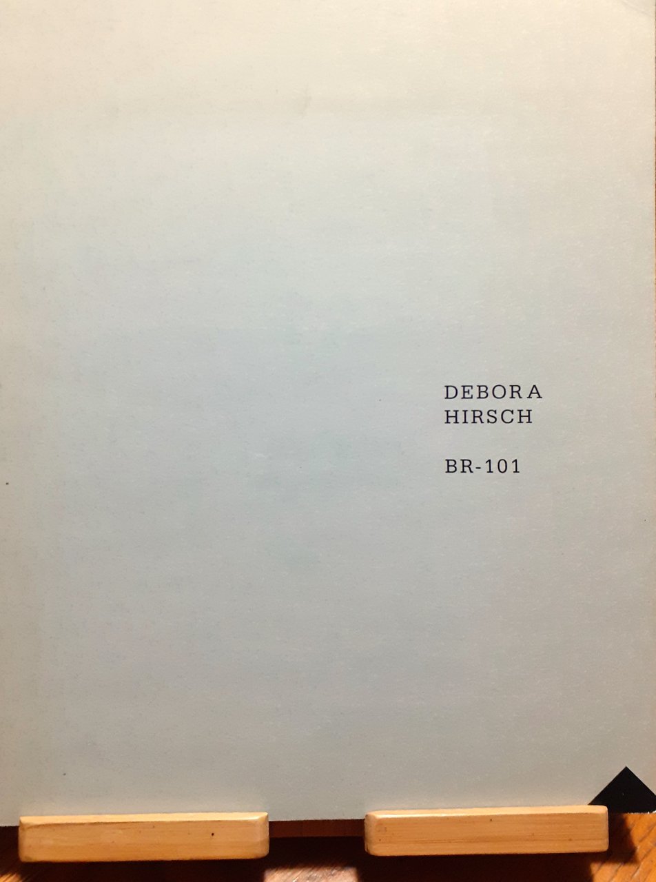 Debora Hirsch. BR-101