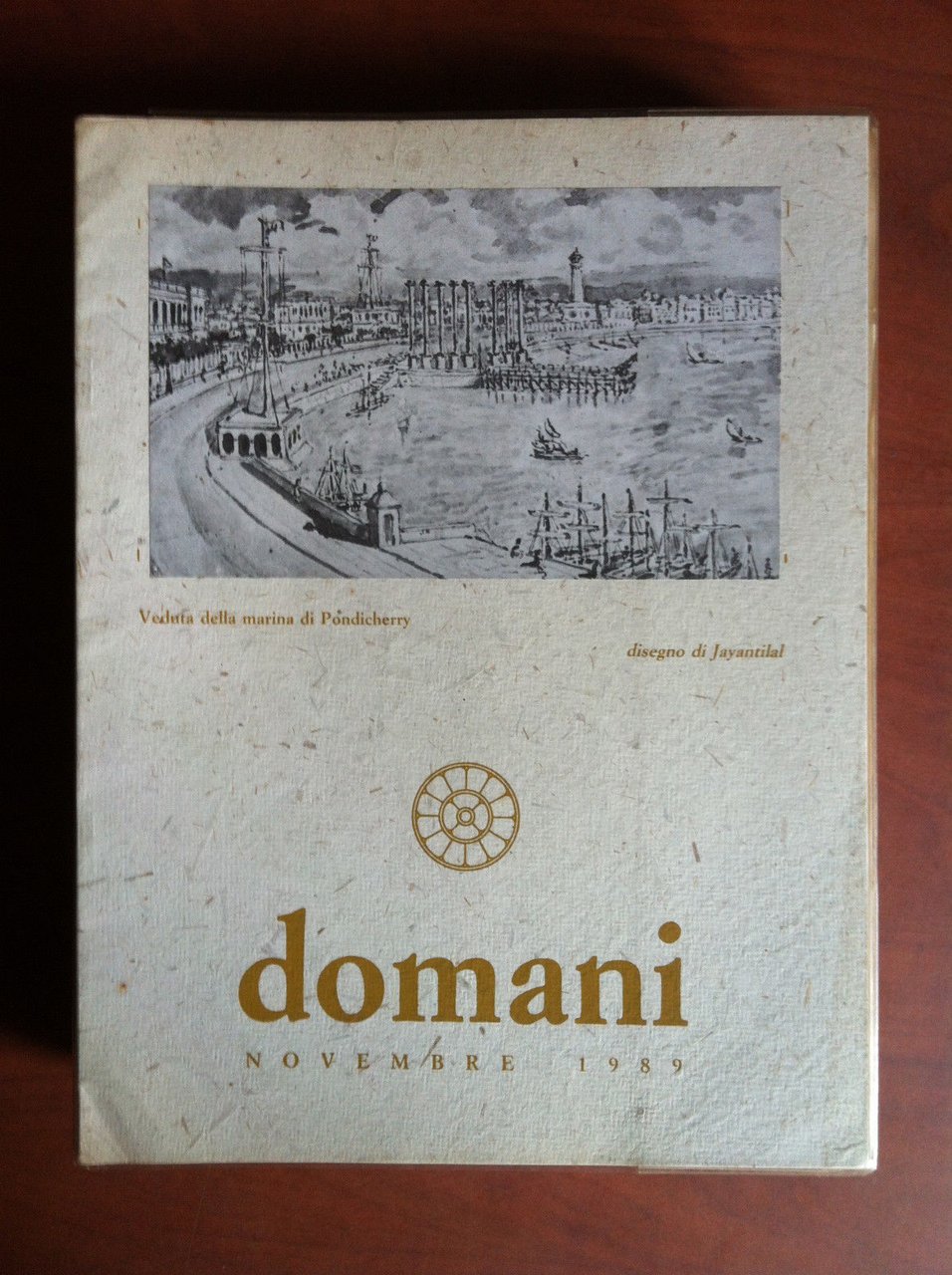 DOMANI n^ 91 Novembre 1989 Sri Aurobindo Ashram India - … | Immagine principale