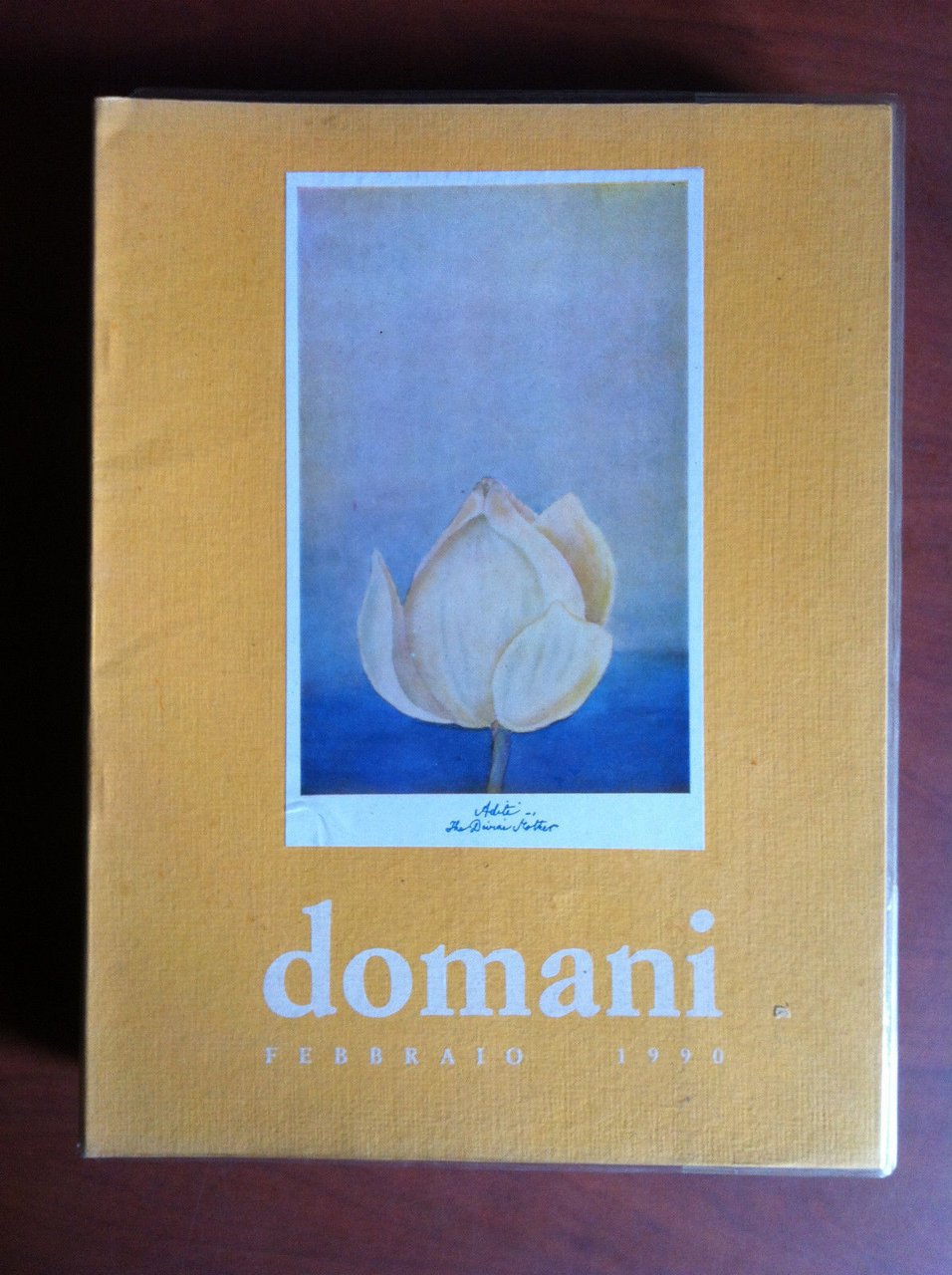 DOMANI n^ 92 Febbraio 1990 Sri Aurobindo Ashram India - … | Immagine principale