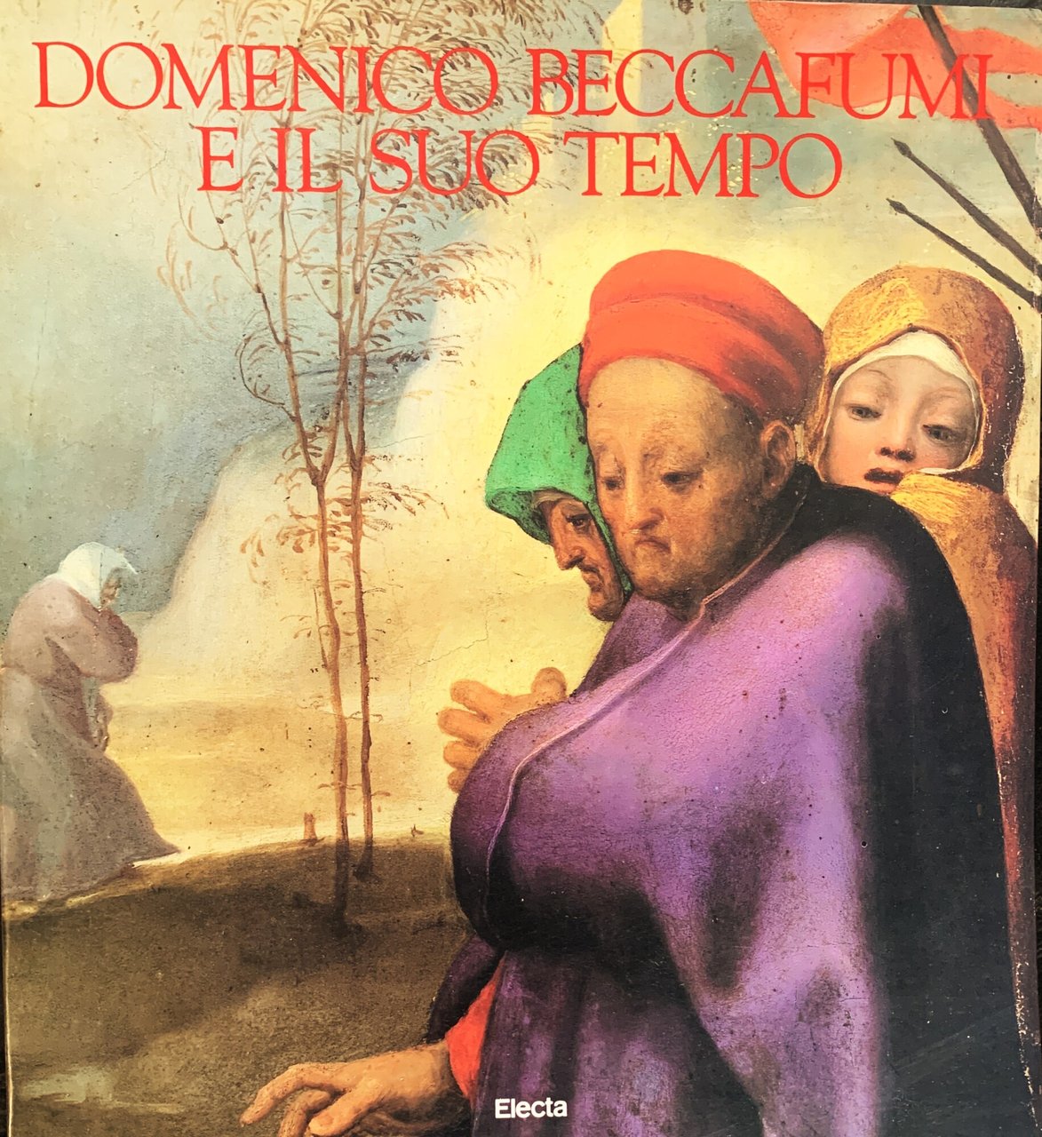 Domenico Beccafumi e il suo tempo | Immagine principale