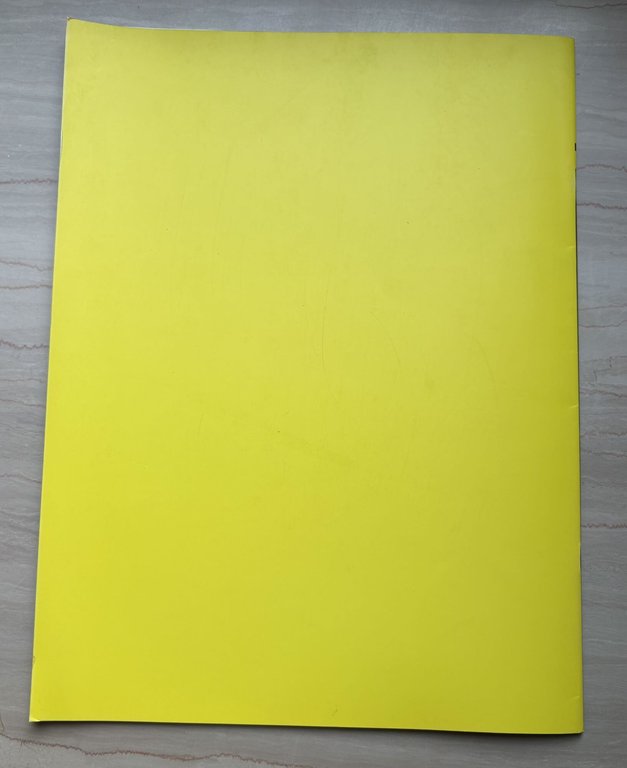 Domus. Nuova architettura per l'Università Bocconi/New architecture for Bocconi University. … | Immagine Gallery 5