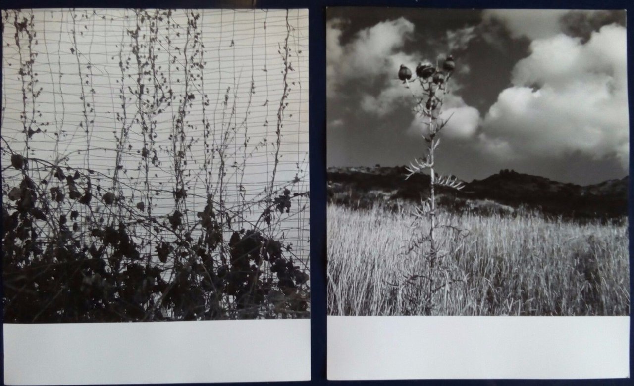 Due fotografie autore Arch. Gianfranco Fasana anni '50