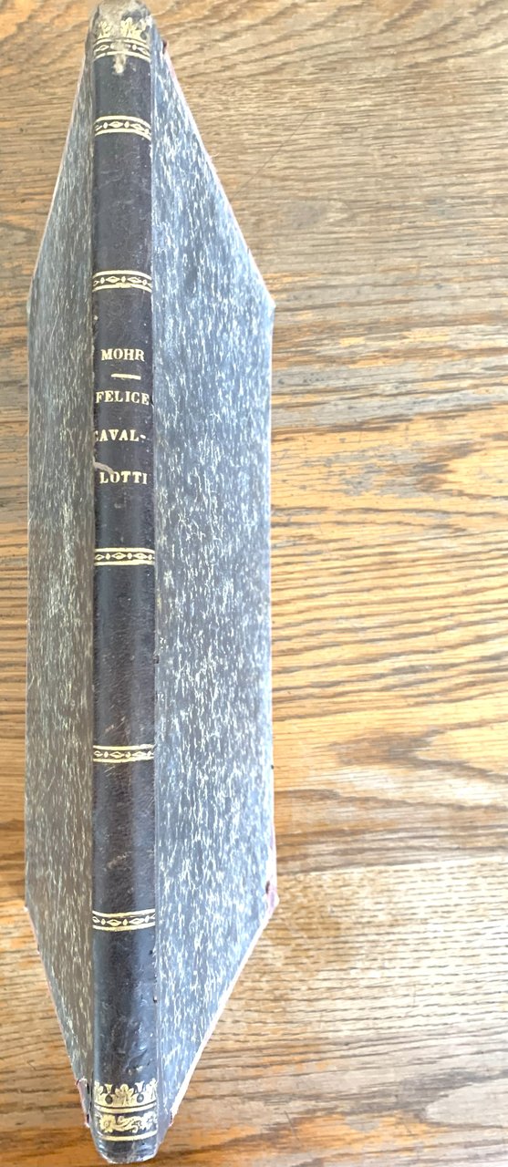 Felice Cavallotti (La vita e le opere)